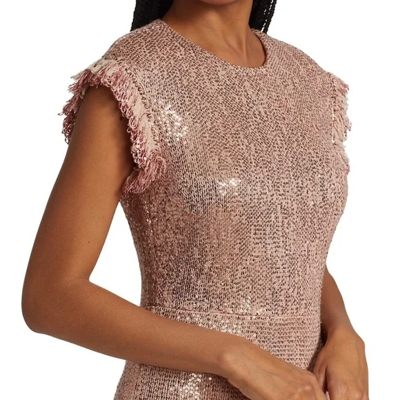 St John’s Sequin Knit Cap Sleeve Fit & Flare Dress W/ Fringe Trim Detail - Lined - Picture 5 of 9